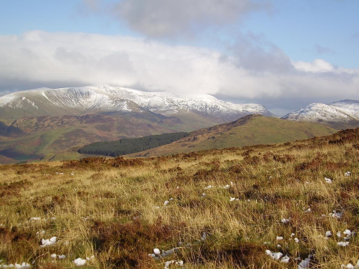 The Dolgoch Bed and Breakfast Bryn-crug Εξωτερικό φωτογραφία